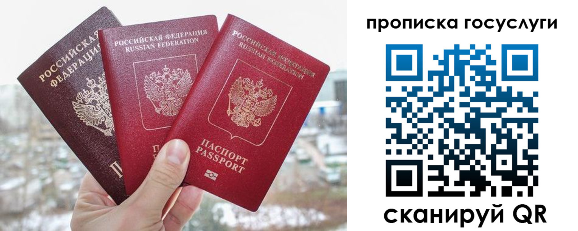 прописка законно в Электростали